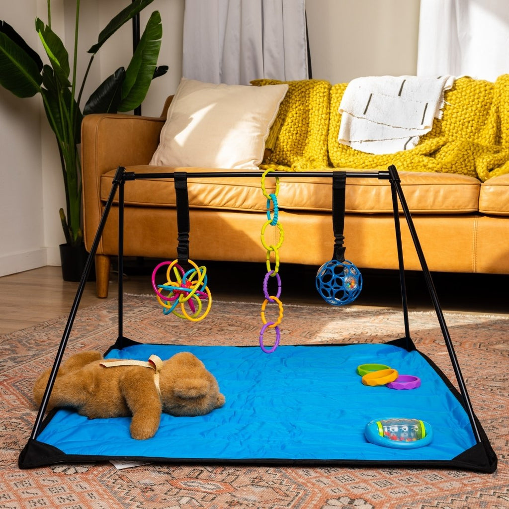 Lay and Play Adventure Mat