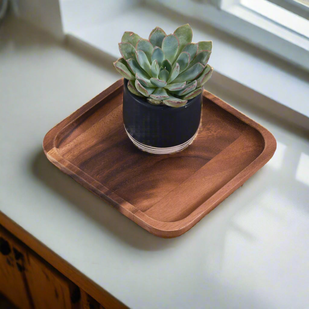 Square Plates